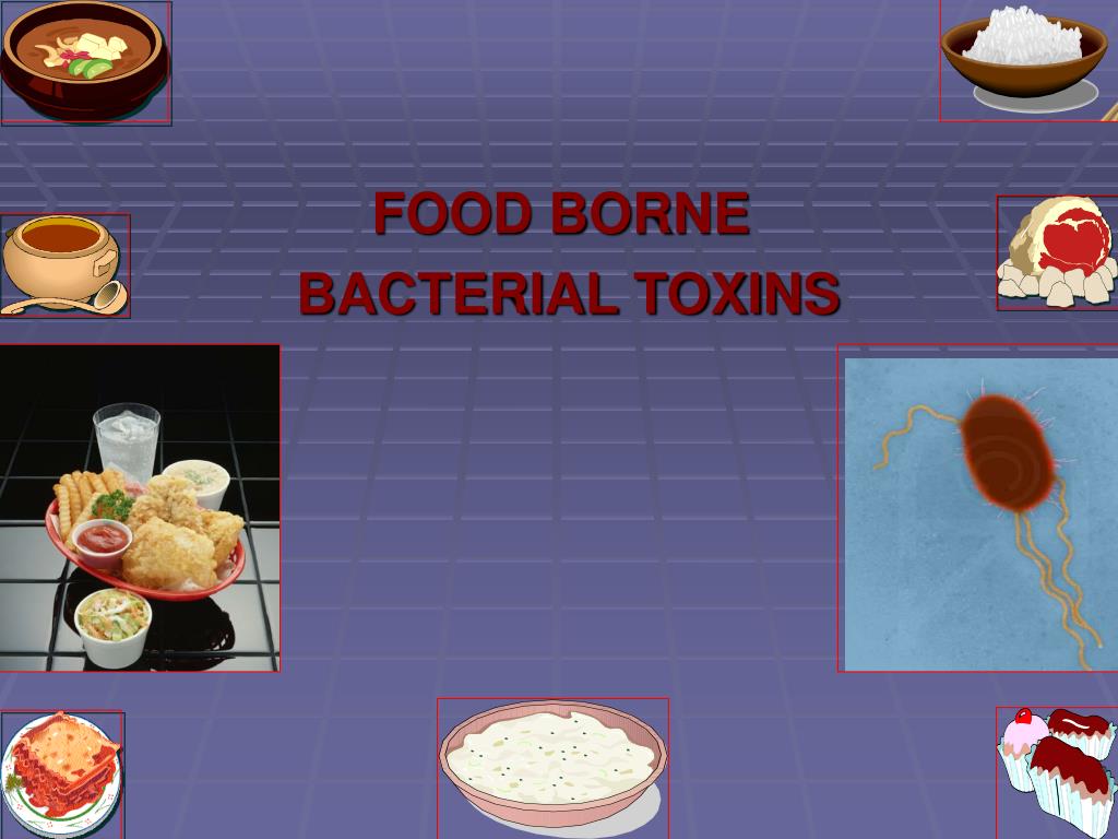 Bacterial Toxins Found In Foods